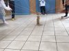 IMG_5683