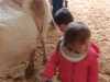 IMG-20240521-WA0028
